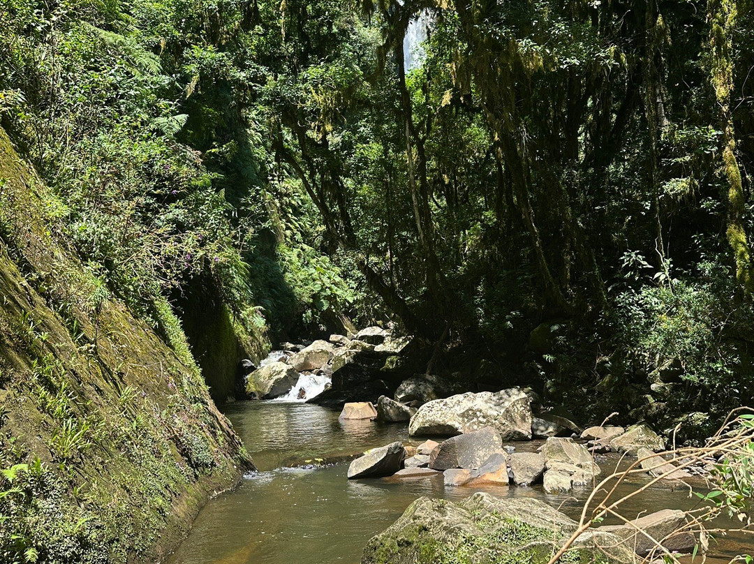 Cachoeira Do Vacariano!景点图片