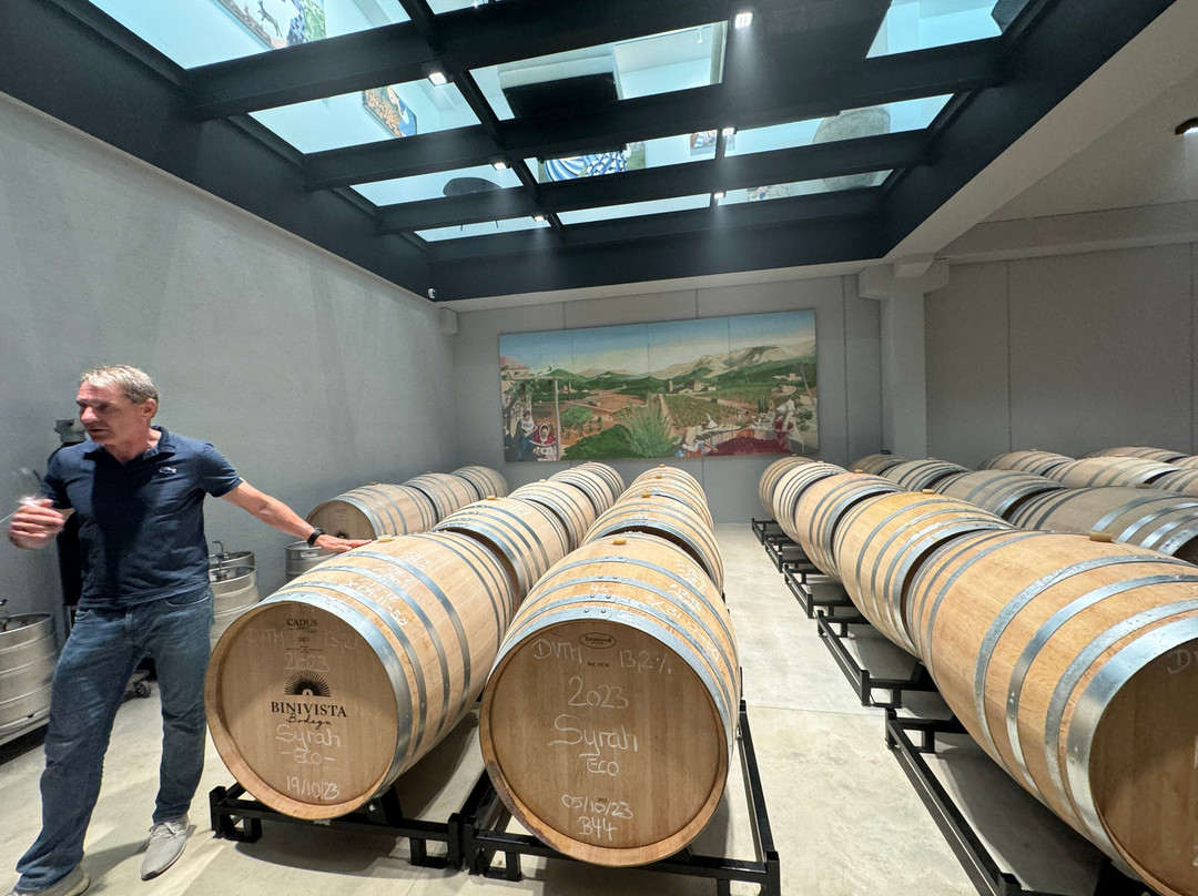 Bodega Binivista景点图片