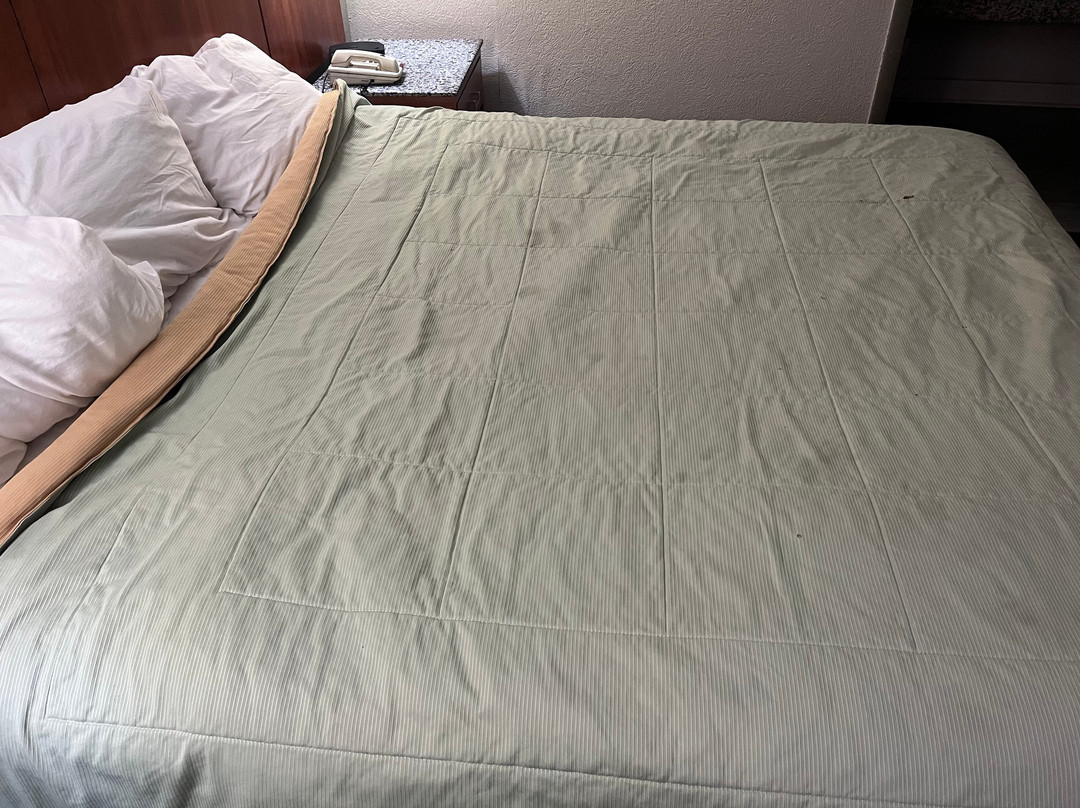 Days Inn by Wyndham Durham/Near Duke University主图