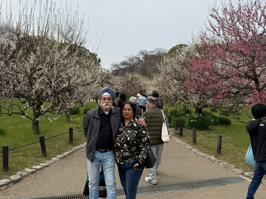 Daisen Park-坂井市必去景点