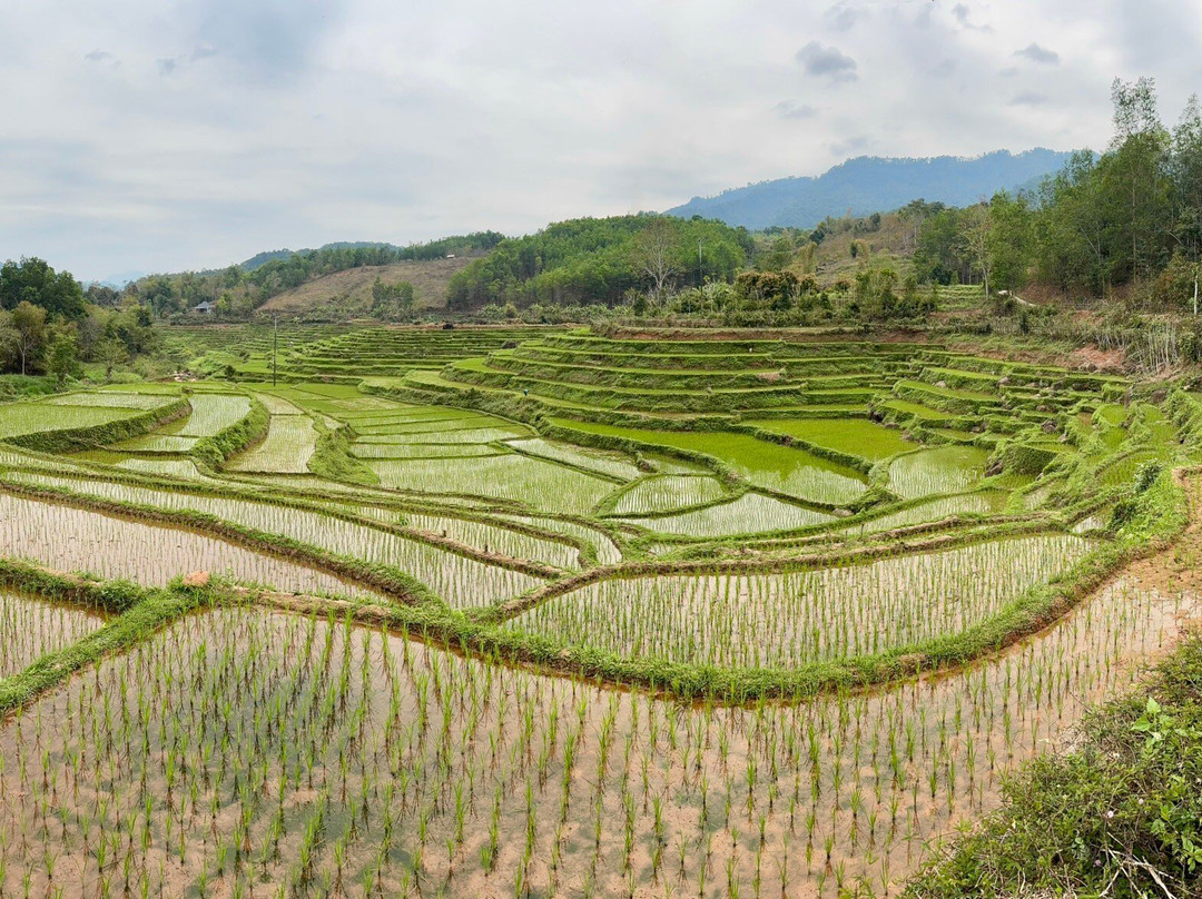 Mai Chau Onsen Retreat主图