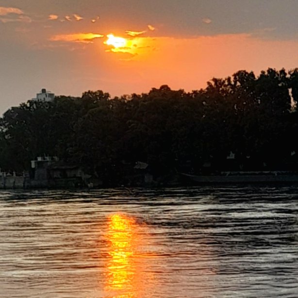 Afex Rivercamp-官方