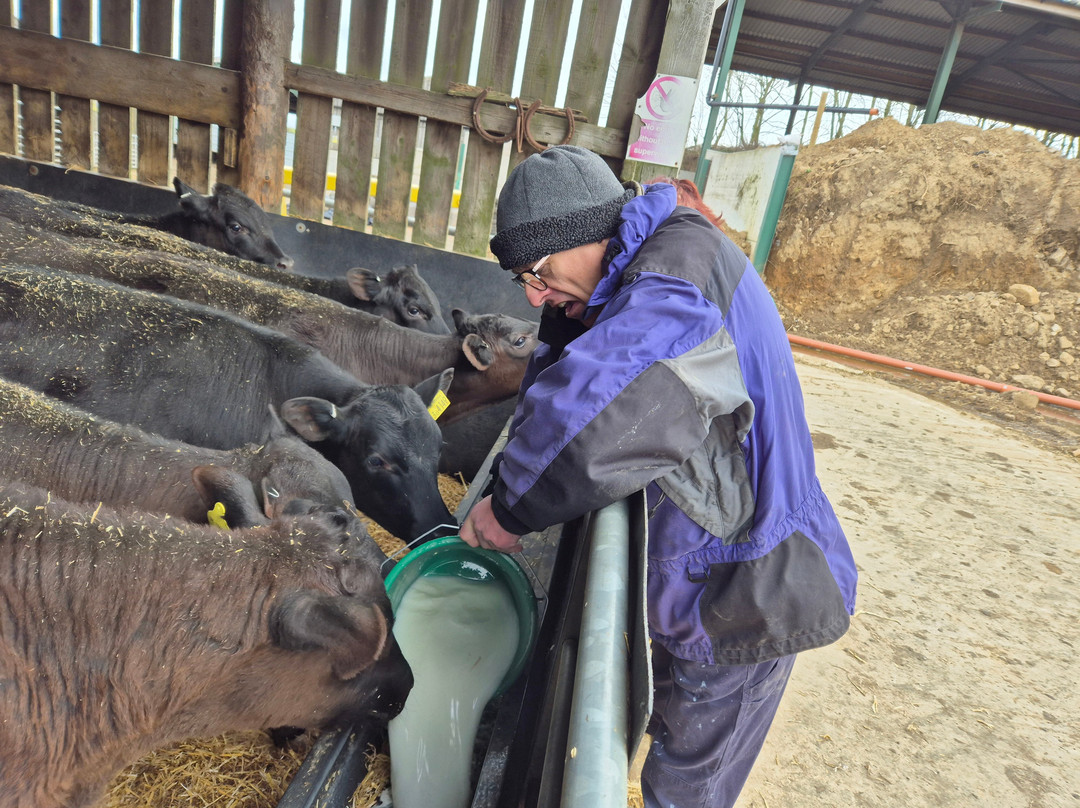 Farm Adventure Yorkshire景点图片