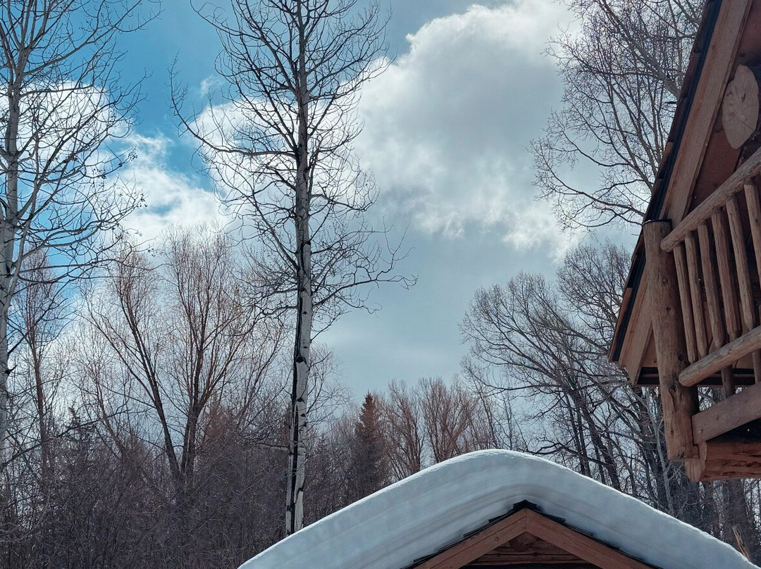 Wildflower Lodge at Jackson Hole主图