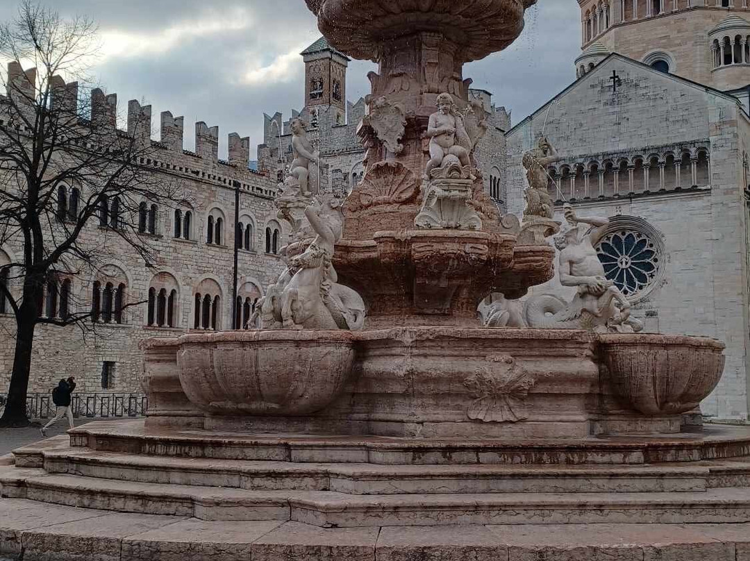 Fontana del Nettuno景点图片