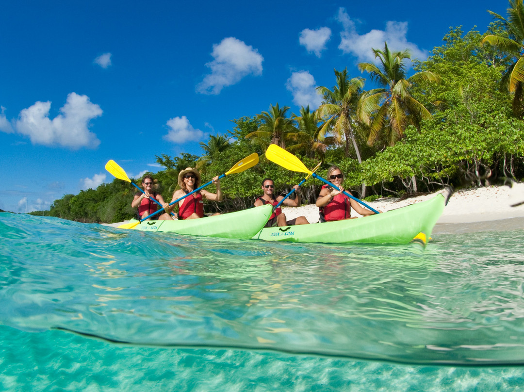 Virgin Islands Ecotours-夏洛特阿马利亚必去景点