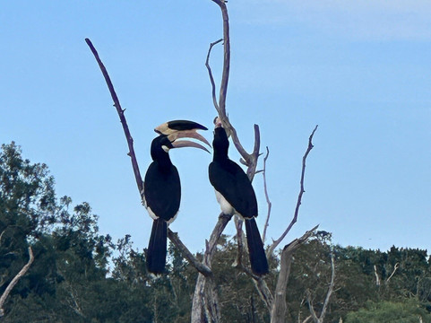 Lakdinu Tours-哈普特莱必去景点
