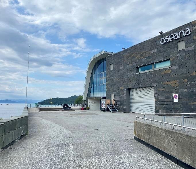 Oseana Art And Cultural Centre景点图片