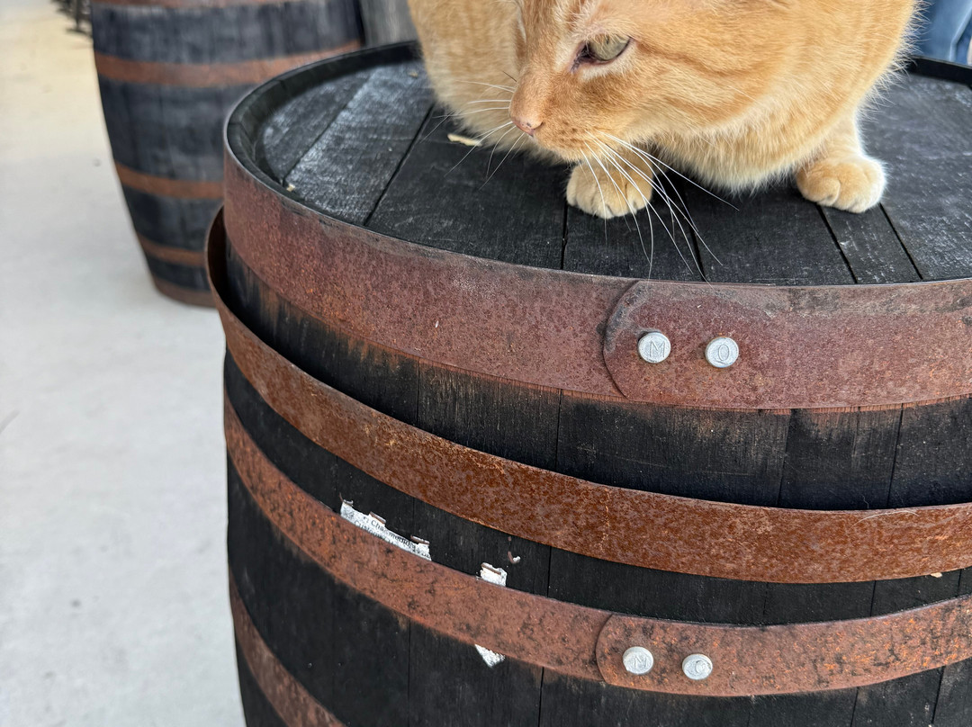 Short Mountain Distillery-Woodbury必去景点