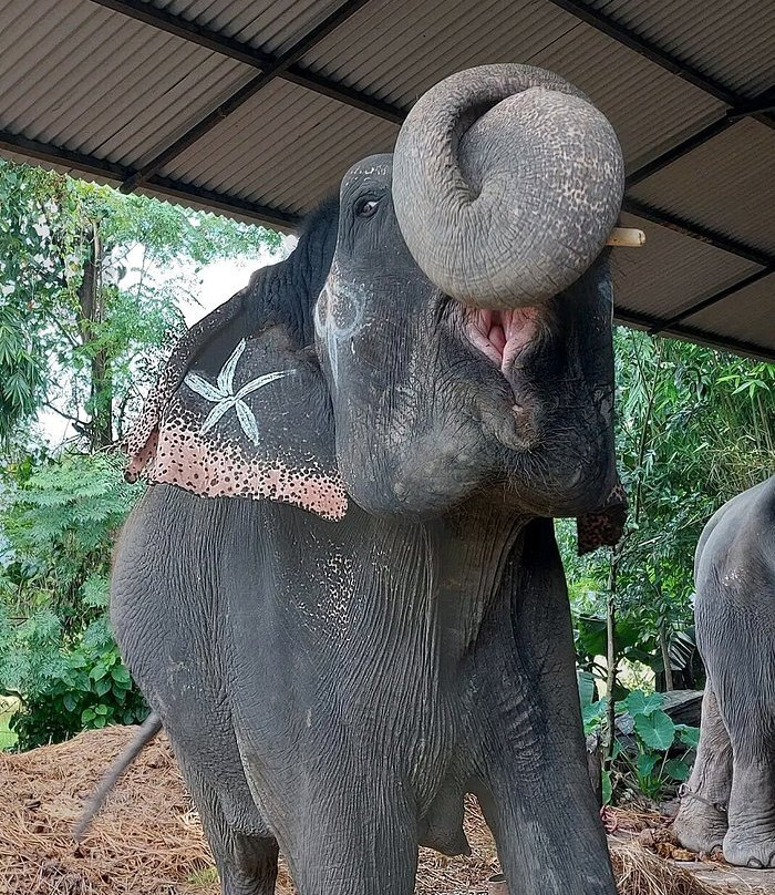 Chitwan National Park-苏拉哈必去景点