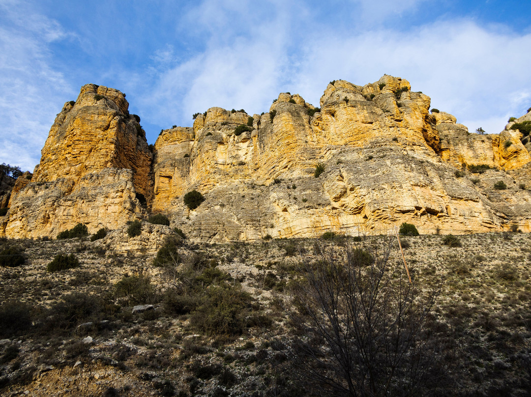 Hosteria La Barbacana主图