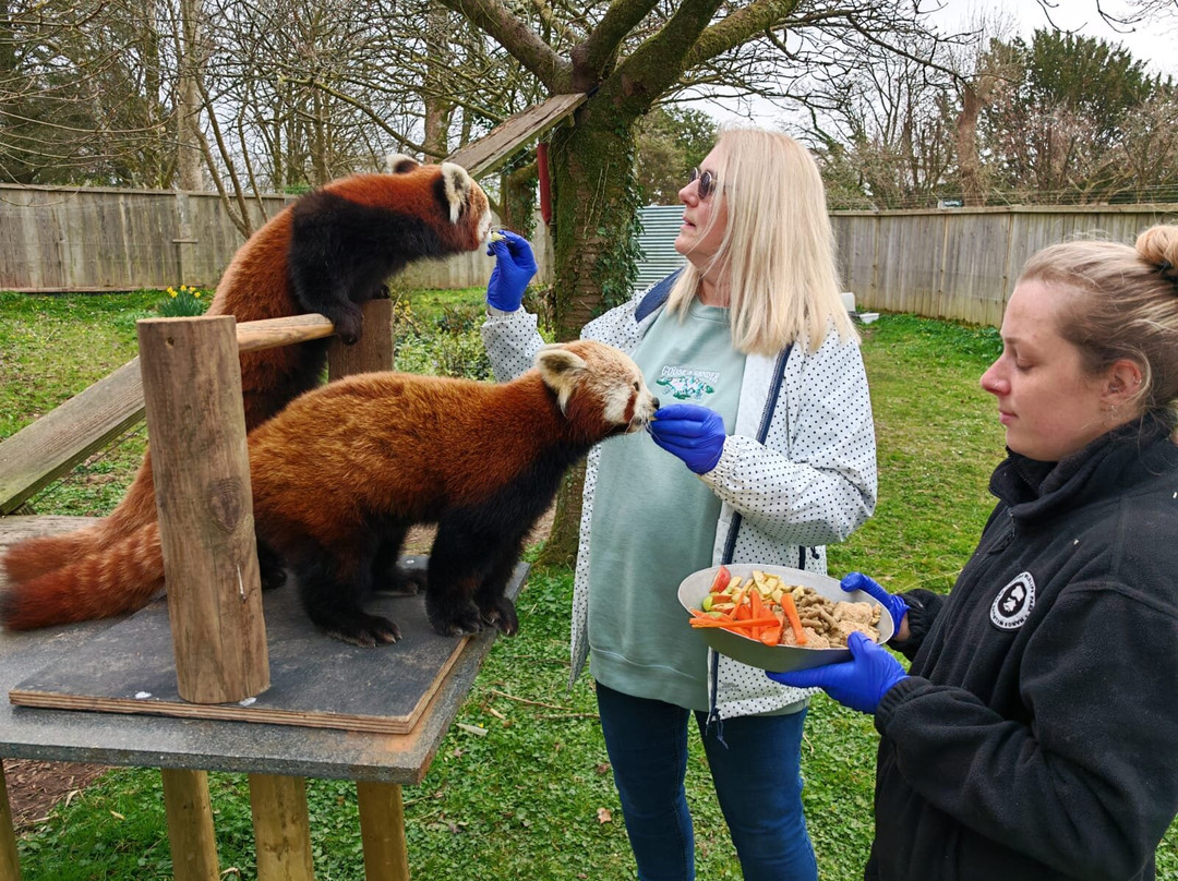 Manor Wildlife Park景点图片