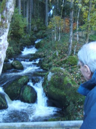 Gasthaus Rebstock主图