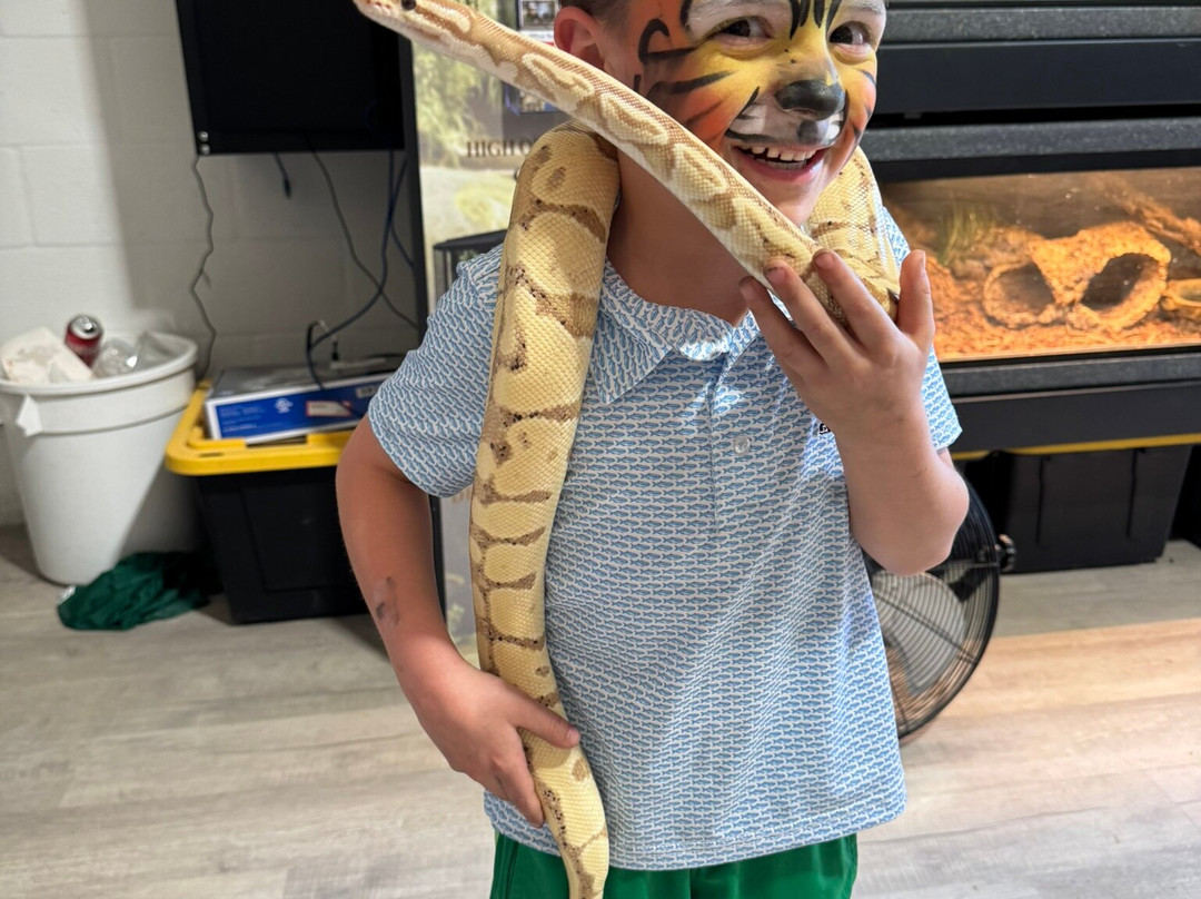 Big Cat Habitat-萨拉索塔必去景点