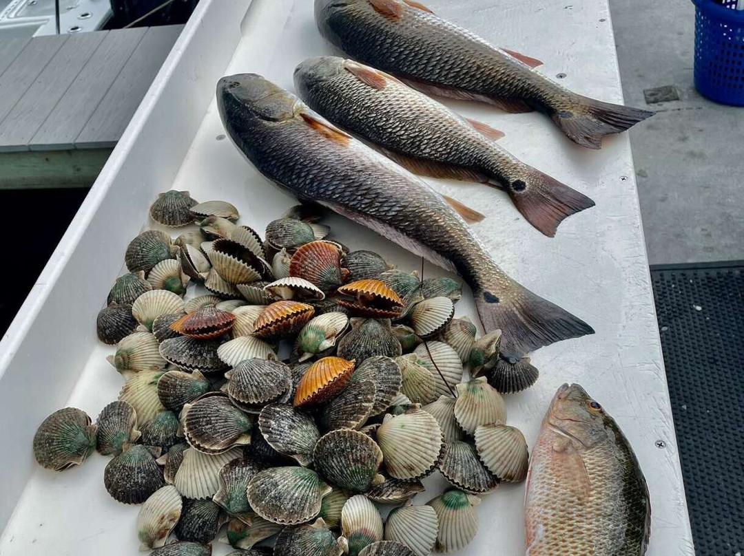 Big 3 Charters