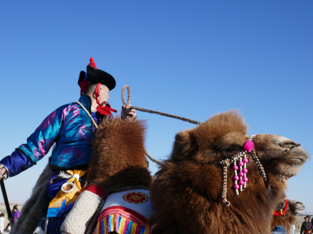 Nomadic Spirit Journeys and Camel Treks Australia景点图片