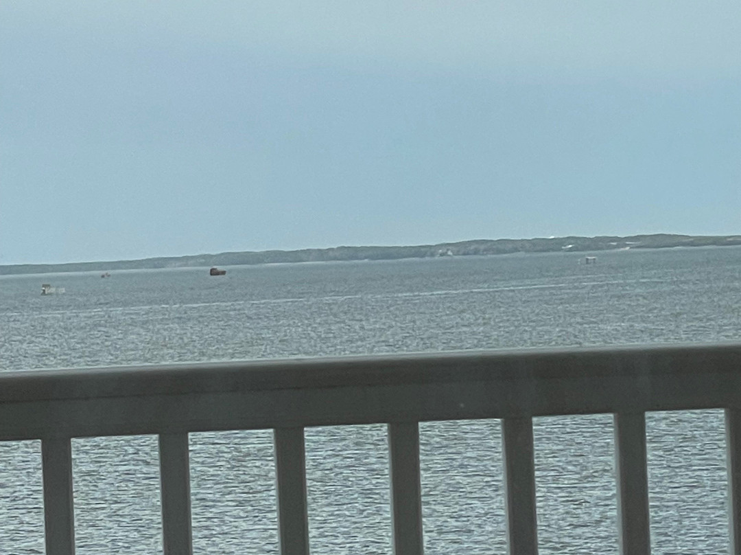 Oasis Suites Hotel主图