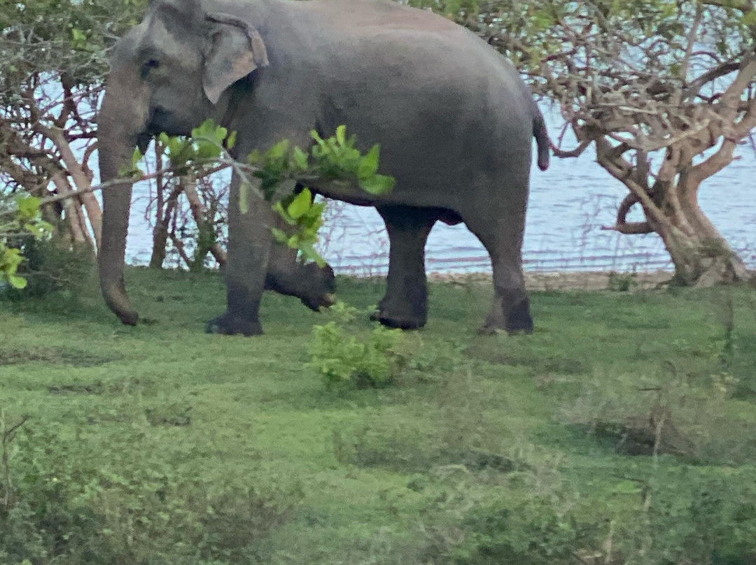 Sasha Tours-Waskaduwa必去景点
