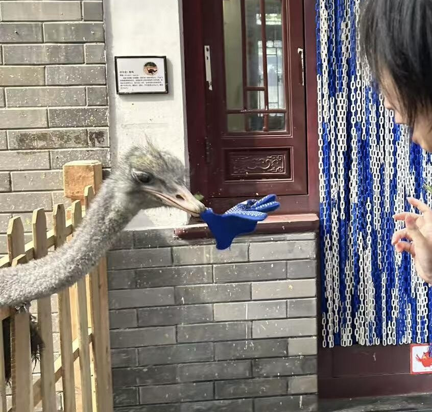 Haitan Ancient City Scenic Area-平潭县必去景点