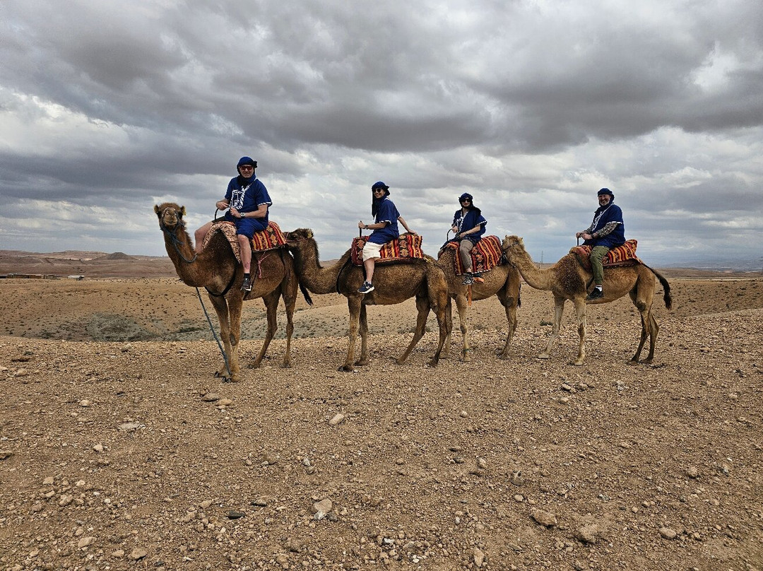BerberTrekking.com-马拉喀什必去景点