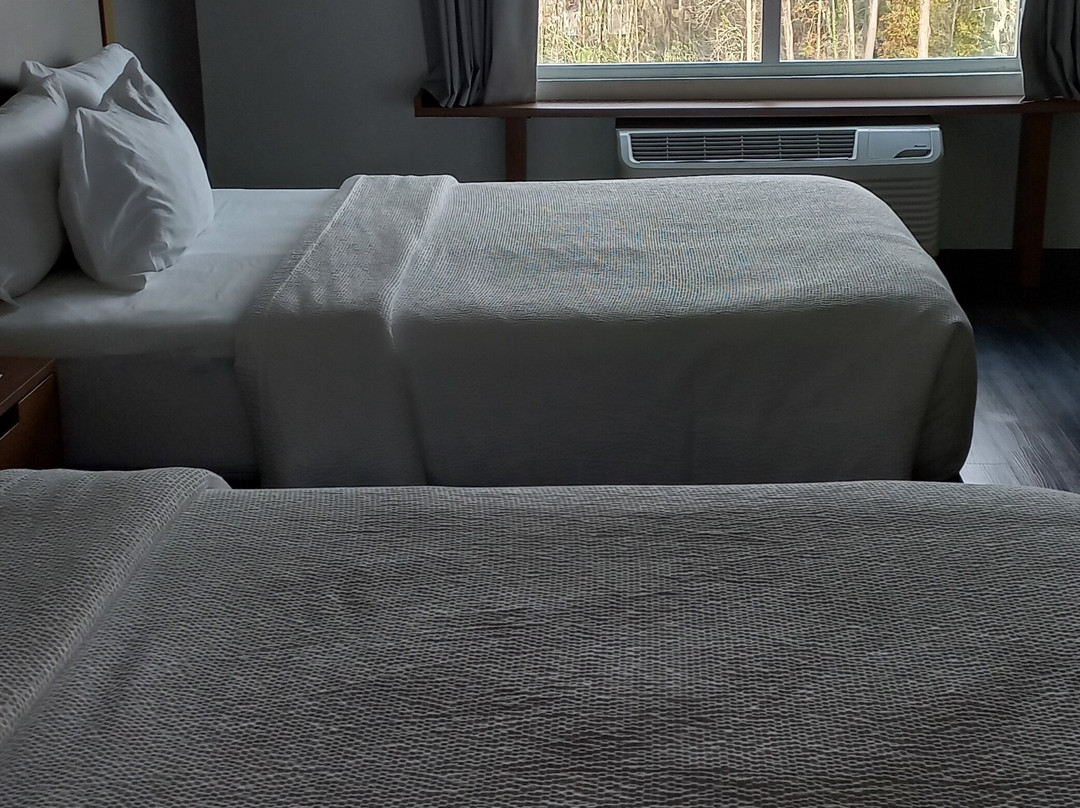 Fairfield Inn & Suites by Marriott Gainesville I-75主图