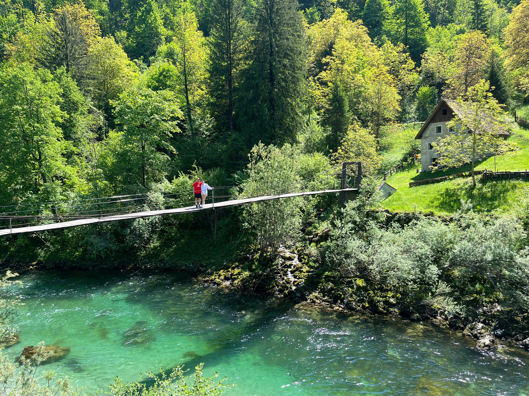 Discover Soca Tours & Transfers-博韦茨必去景点