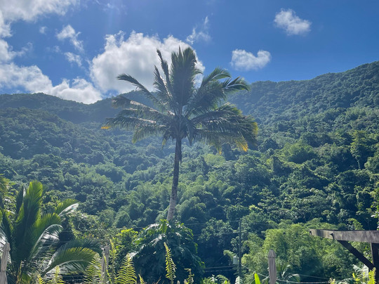 Santosa Yoga-圣胡安必去景点