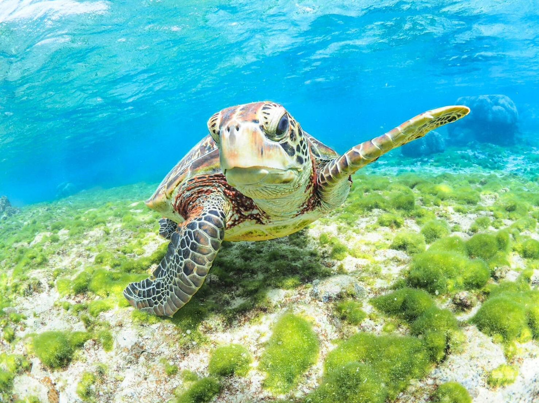 Shigira Beach-宫古岛市必去景点