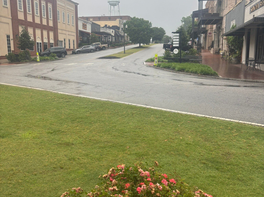 Georgia Tour Company-Senoia必去景点