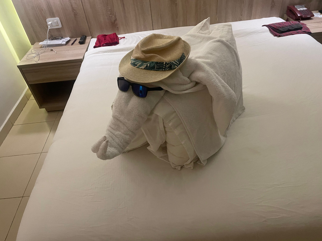 Seven Seas Jolie Bay主图