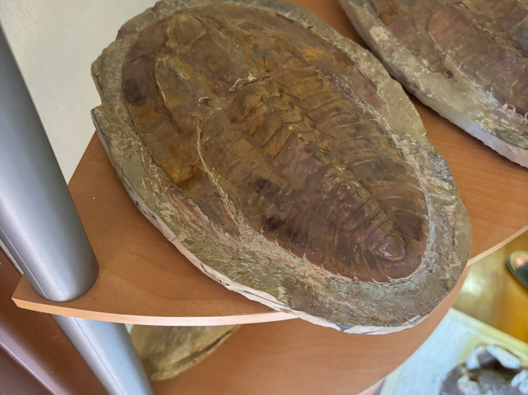 The Cultural and Geological Palace of Rhodes-罗德城必去景点