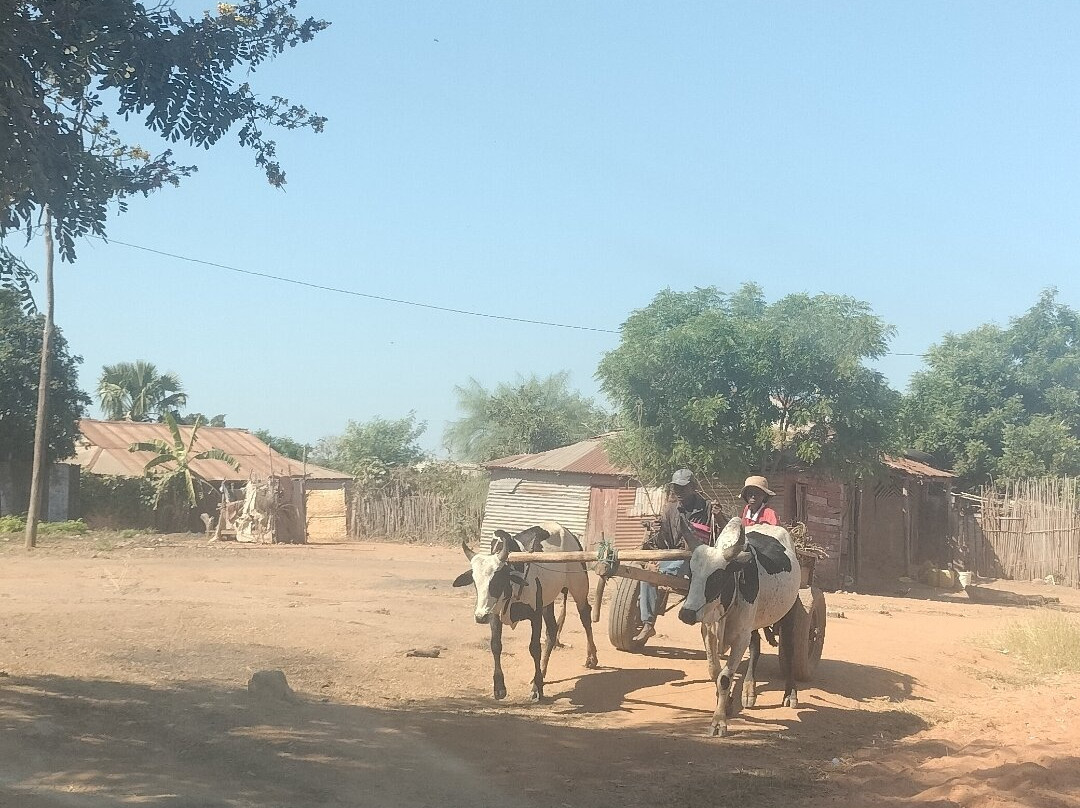 Madagascar Touring景点图片