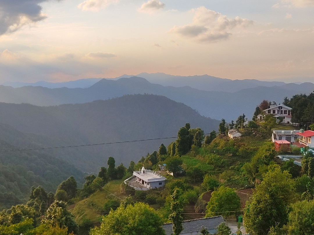 The Woods by Aaryam主图