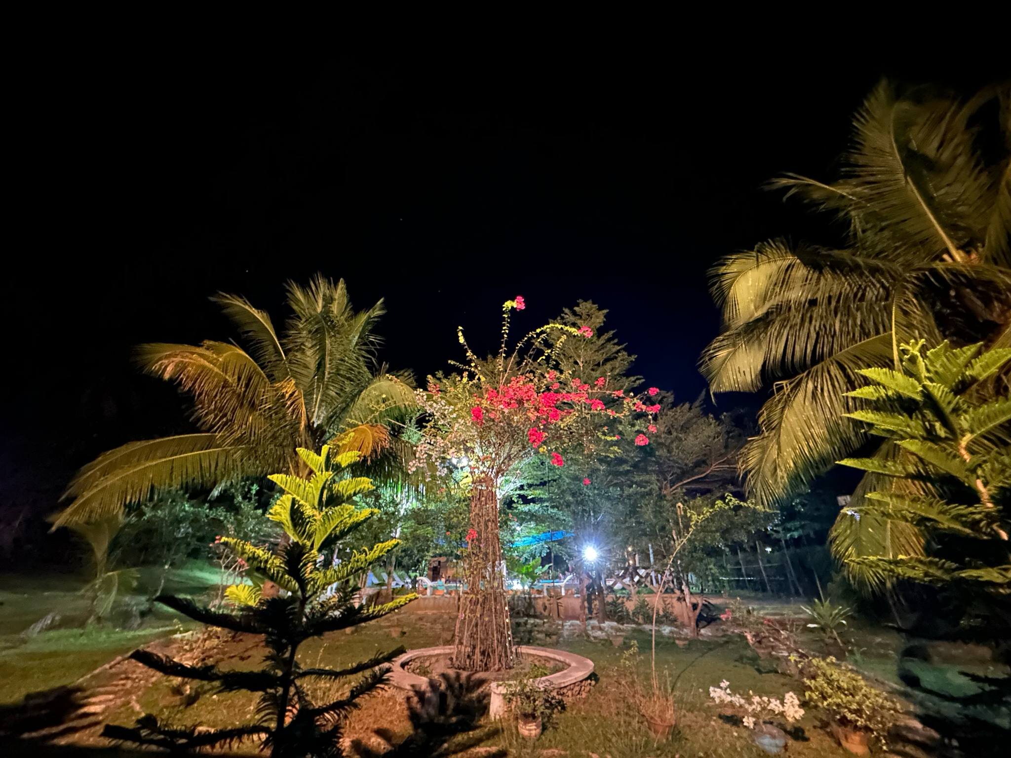 YumiYami Farm And Resort-酒店景观
