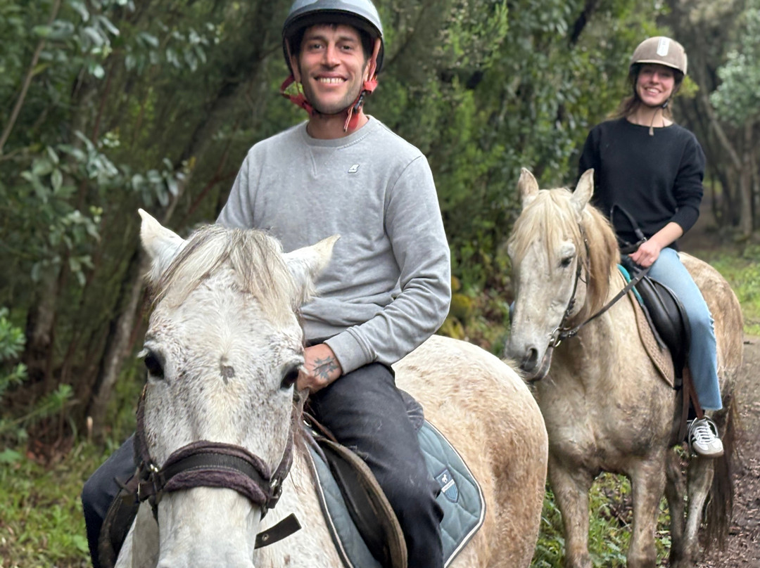 Centro Hípico Savvy Tenerife / Horse riding Tenerife / Reiten Teneriffa-德拉克鲁兹索尔港必去景点