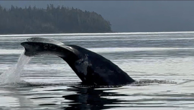 Aurora Jewelers-史凯威必去景点