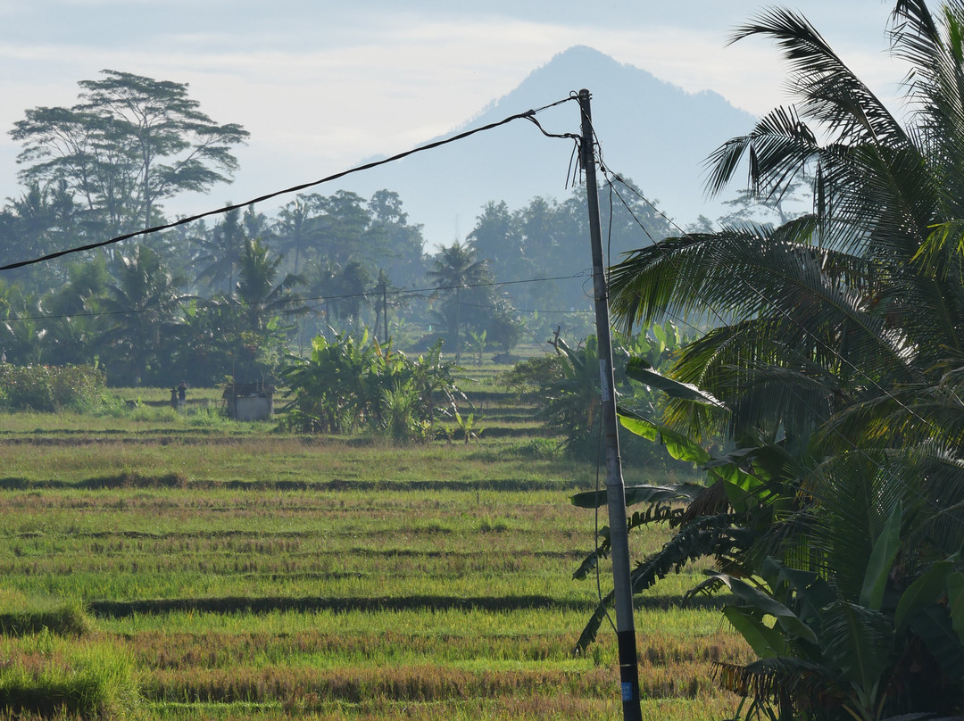 Kubu Bali Baik Villa & Resort主图