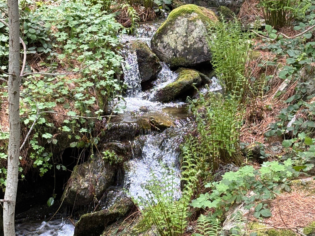 National Park Pelister-Bitola必去景点