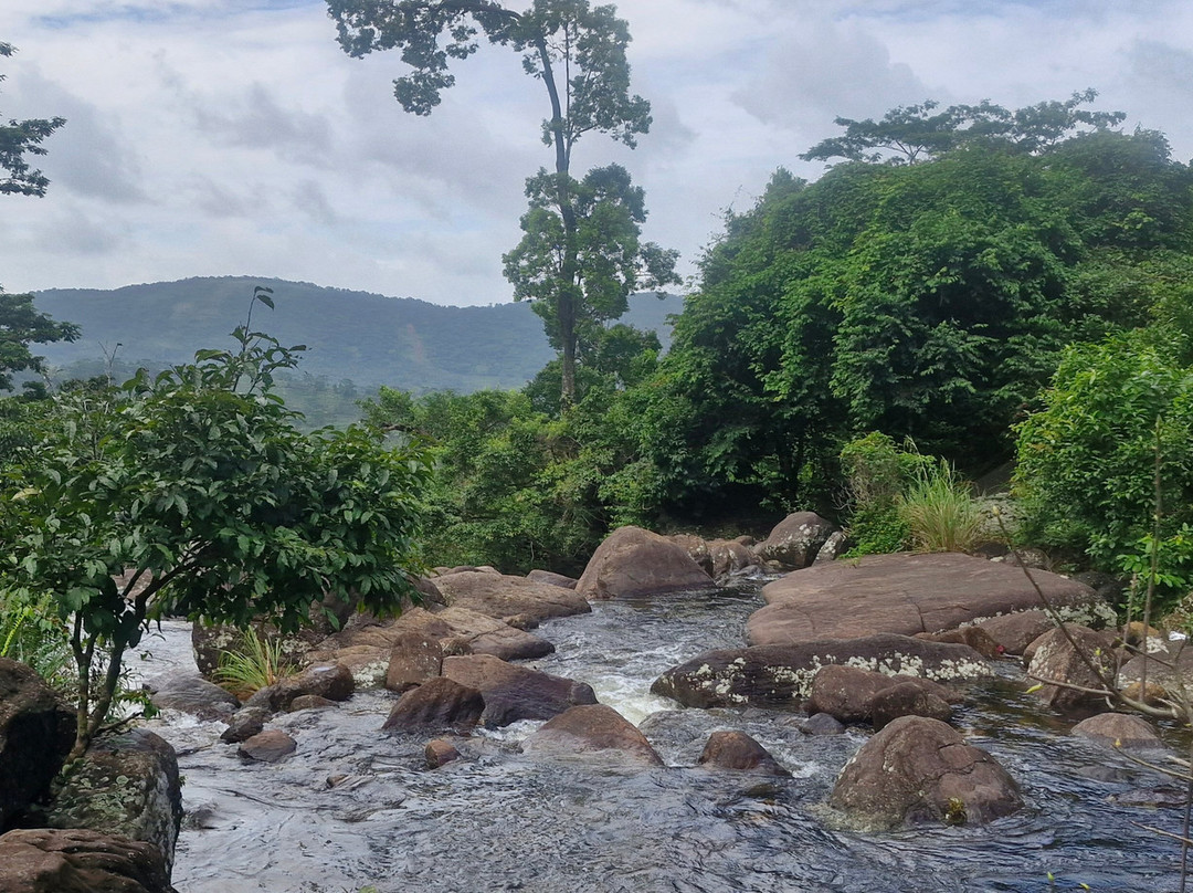 Sinharaja Rainforest Kurulugala Entrance景点图片