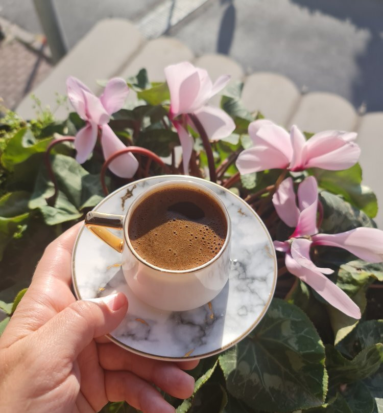 伊斯坦布尔里克斯酒店主图