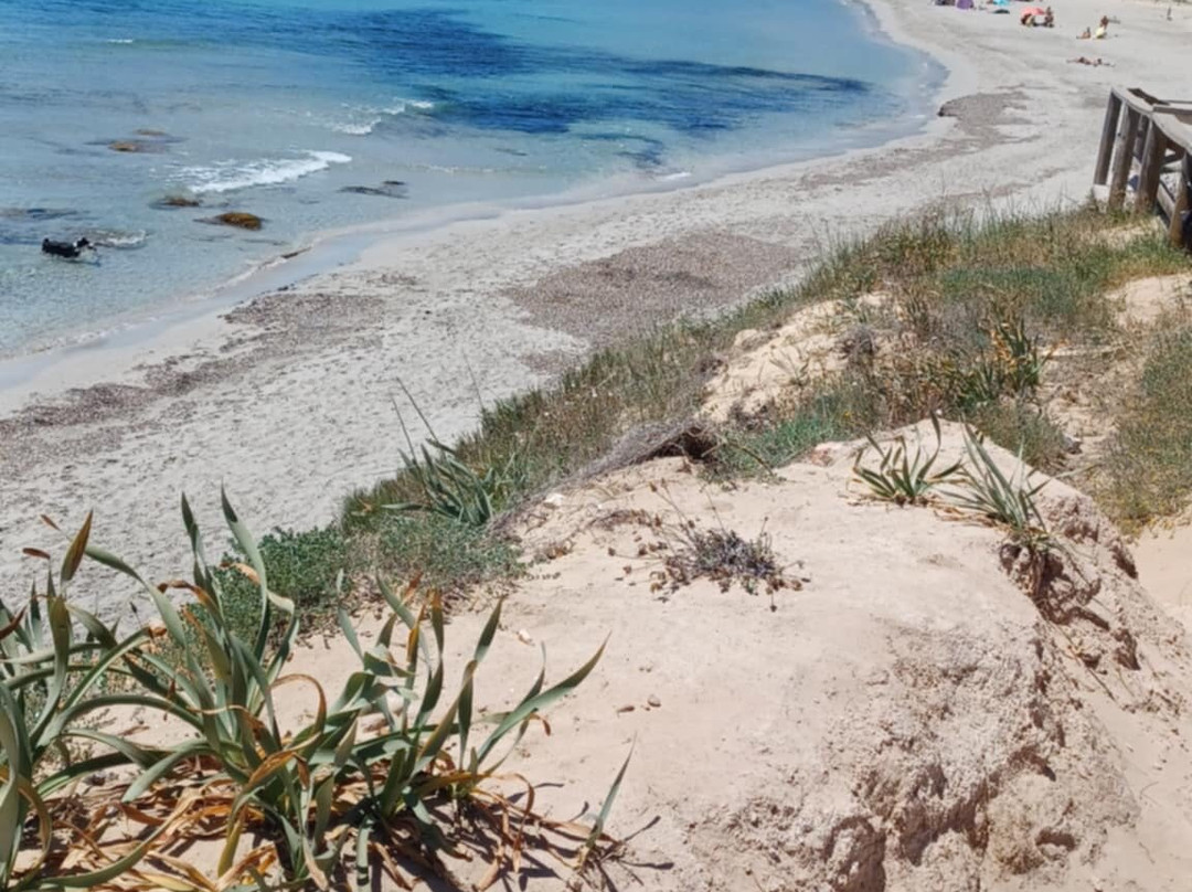 Playa De Binigaus-Migjorn Gran必去景点