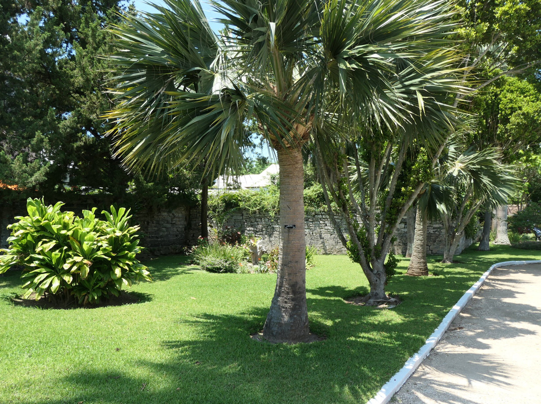 Somers Garden-圣乔治必去景点