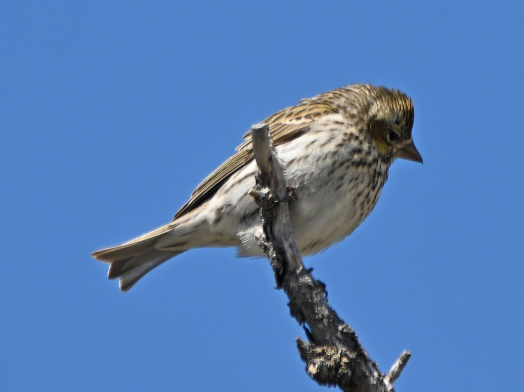 In Our Nature Guiding Services-加德纳必去景点