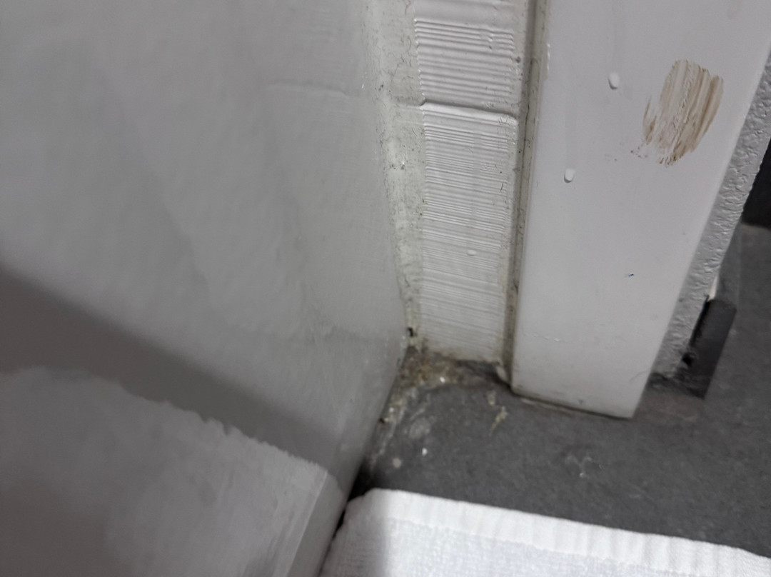 Microtel Inn & Suites by Wyndham Raton主图