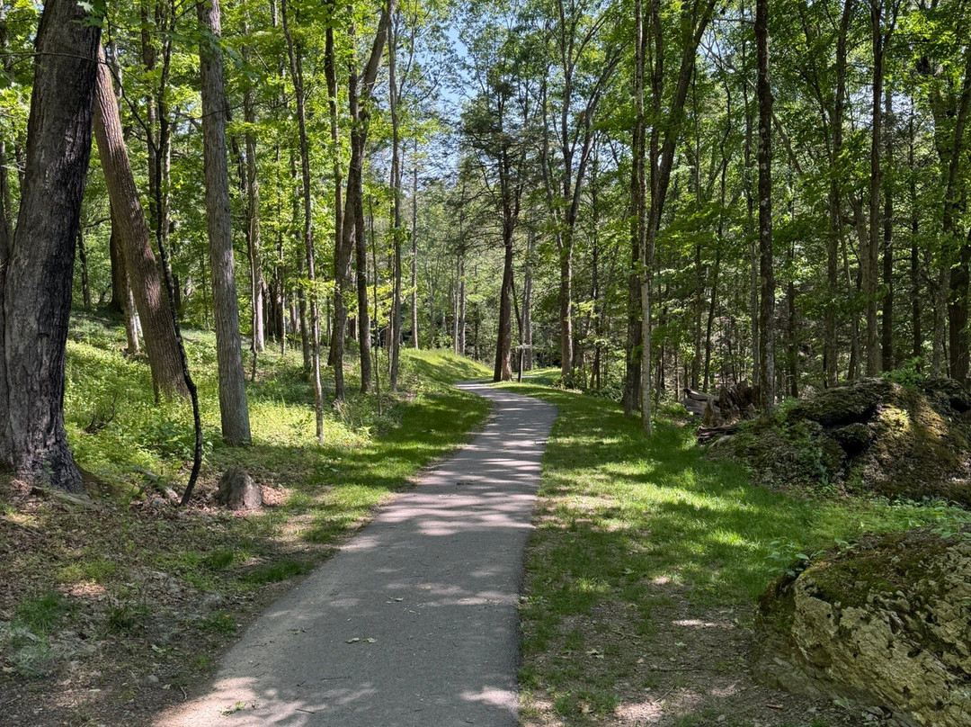 Marshalls Falls-Marshalls Creek必去景点