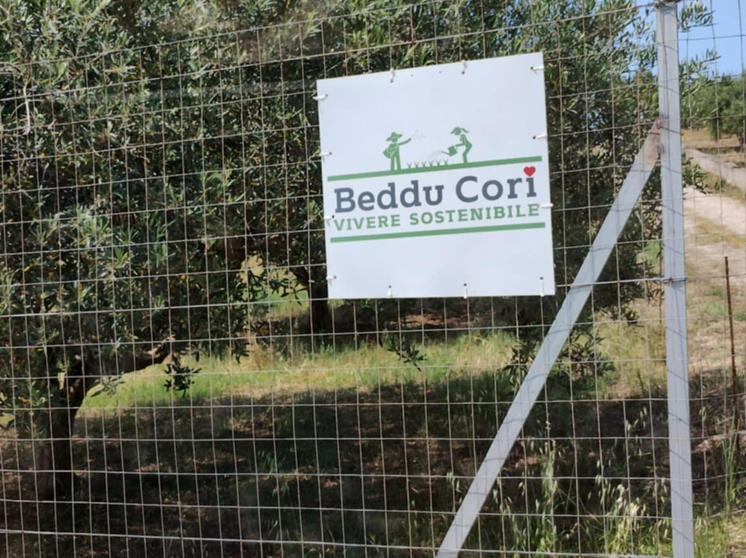 Beddu Cori Family Farm景点图片