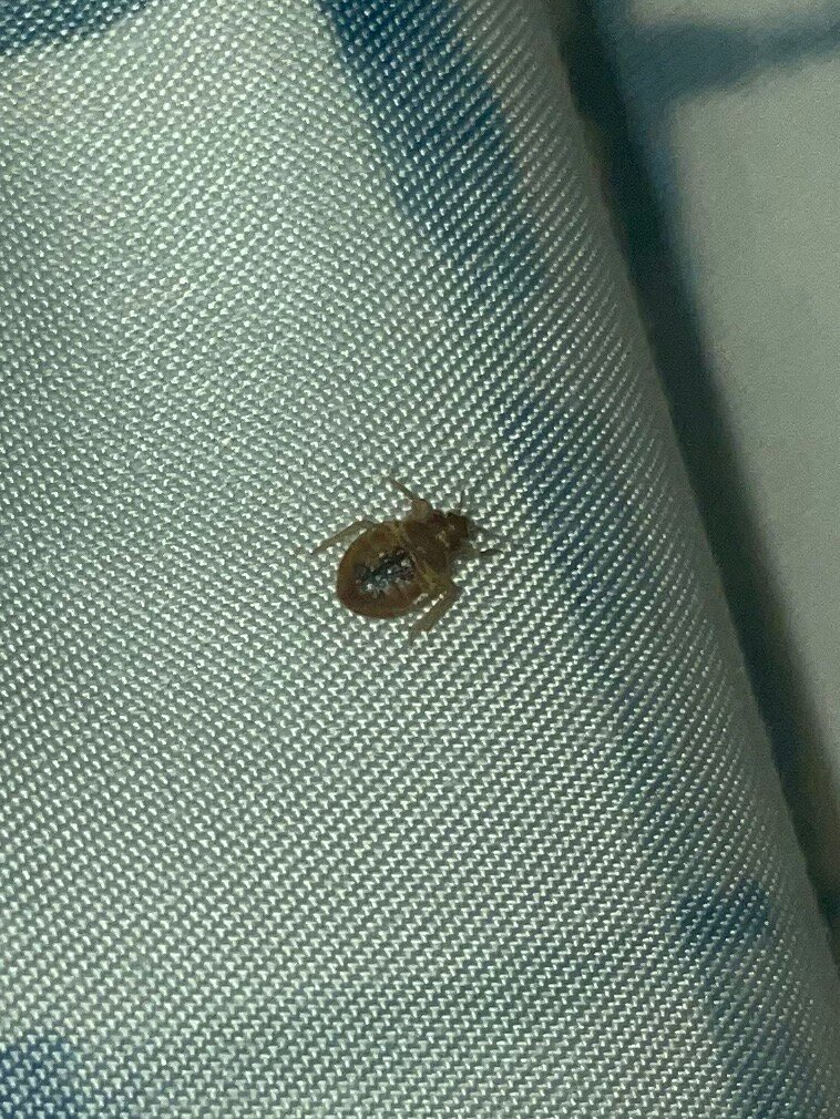 Beachside Boutique Inn-官方