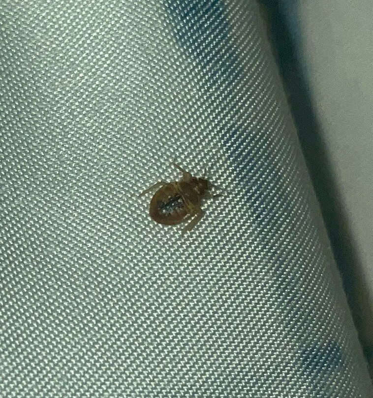 Beachside Boutique Inn主图