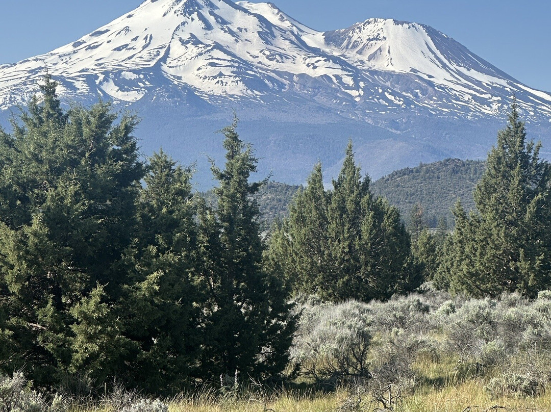 Mount Shasta景点图片