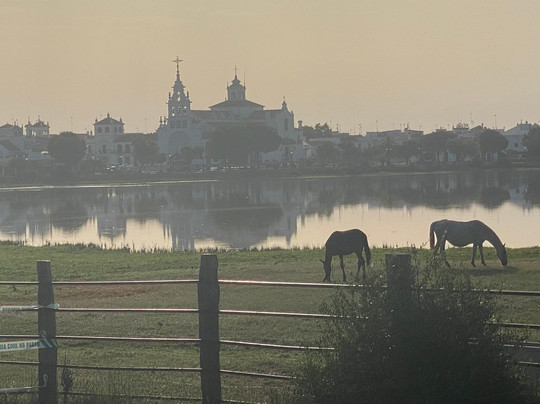 ON Acebuchal 23主图